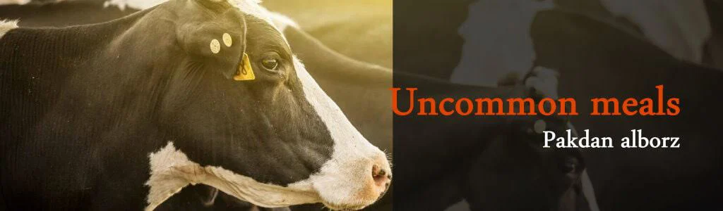 Supplying-livestock-and-poultry-feed-to-the-country