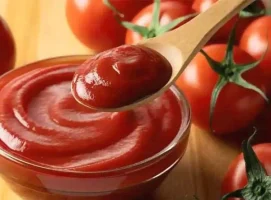 Exported Tomato Paste